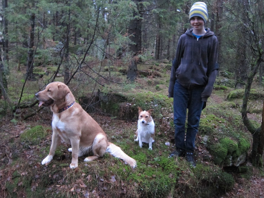 Sikhalls Camping och Restaurang