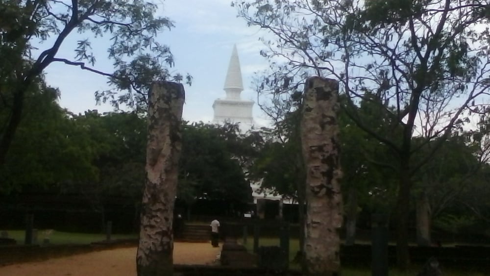 Hotel Bundala Park - Hostel