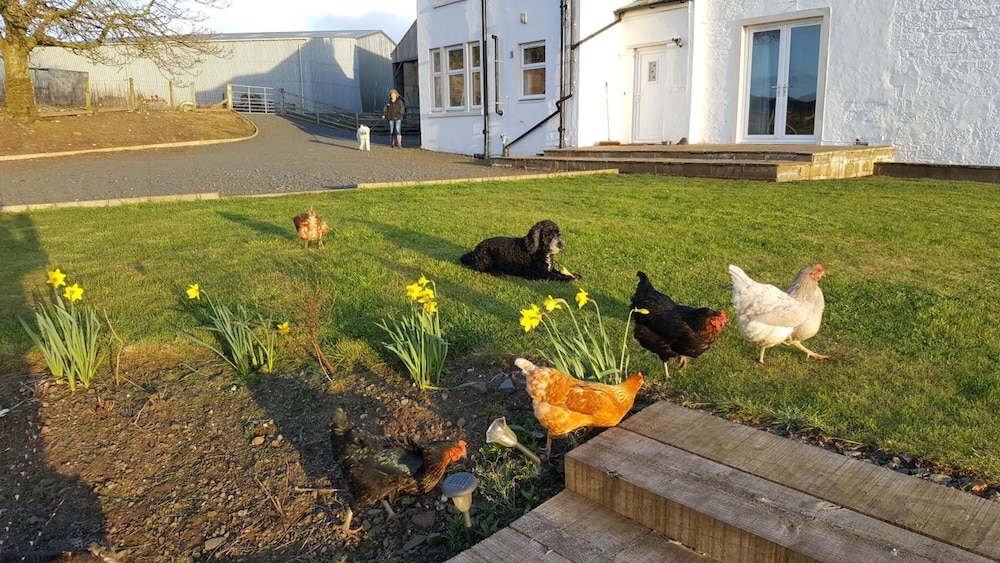 Crofthead Farm House