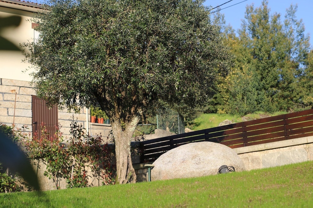 Photo 43