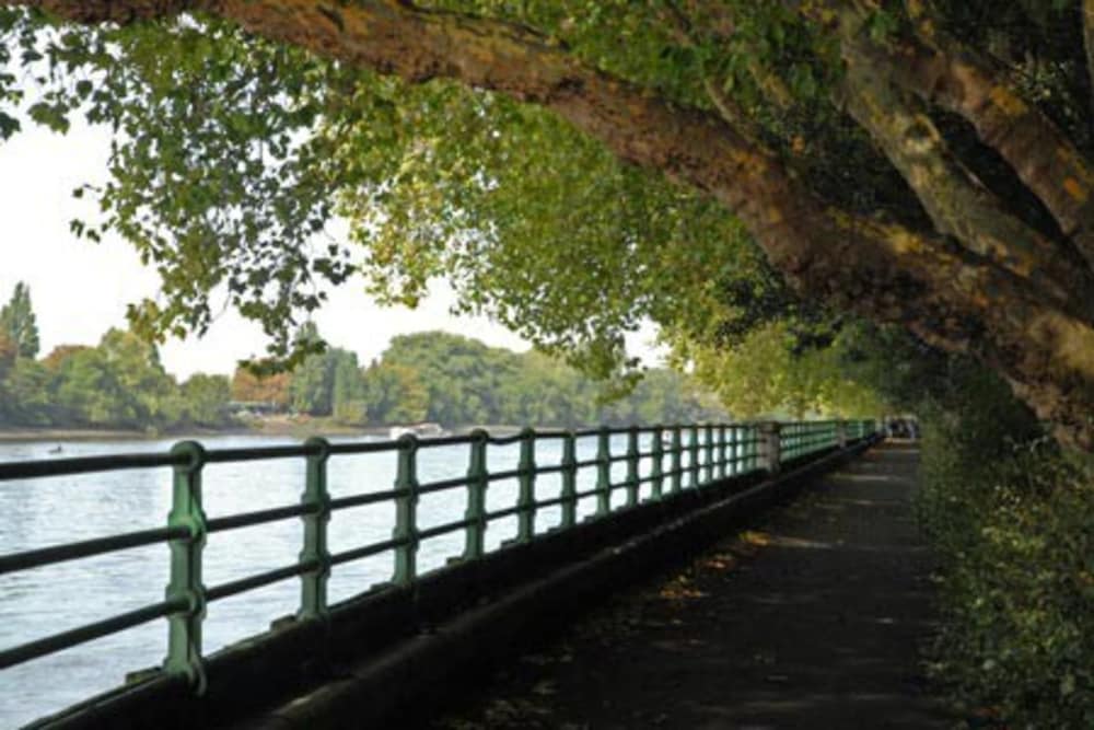 Contemporary 1 Bedroom Flat in Fulham near The Thames