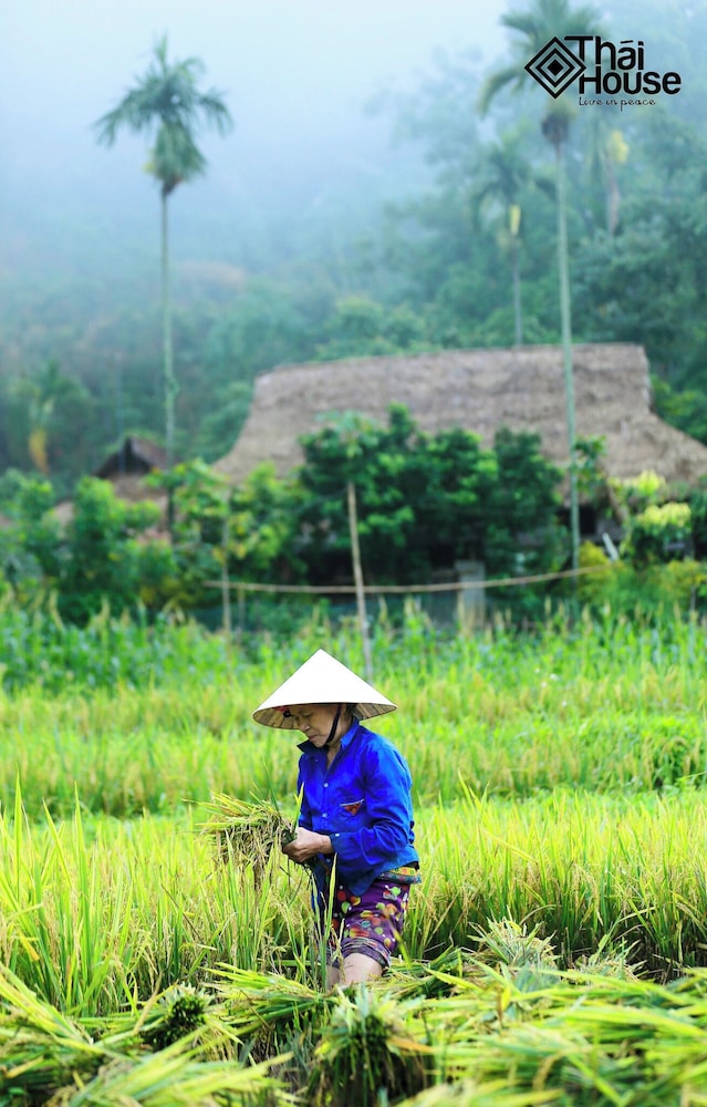 Thai House Pu Luong