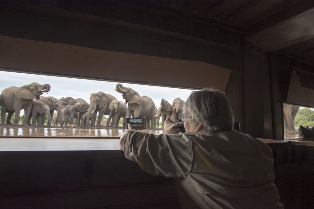 Mashatu Lodge - Mashatu Game Reserve