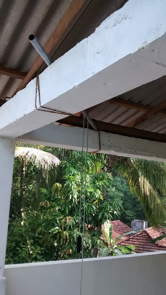 Jungleside House