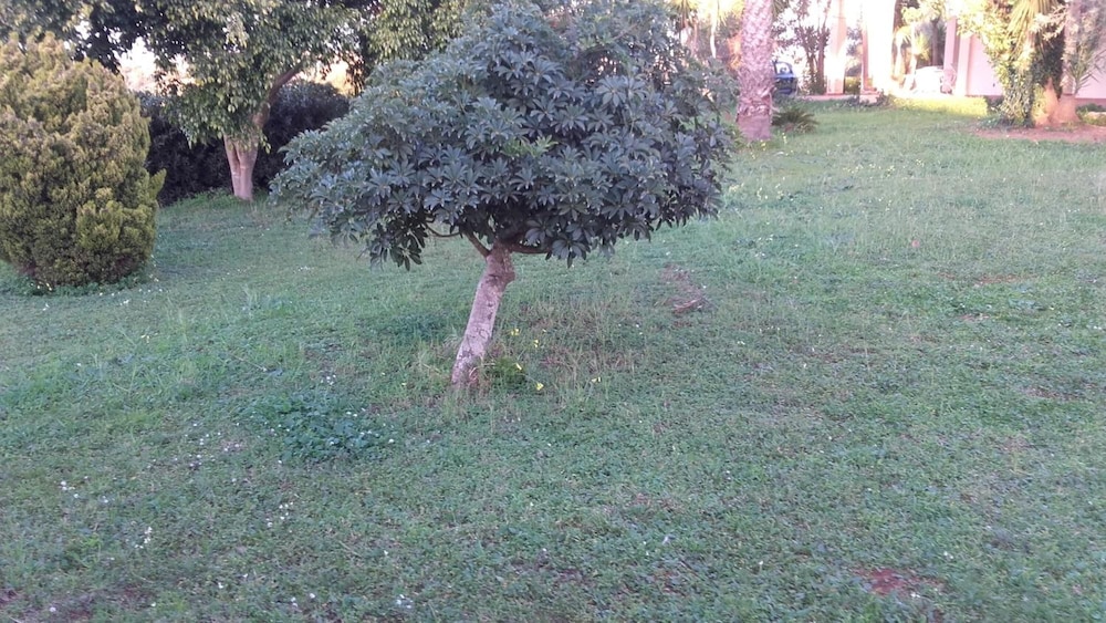 Photo 28