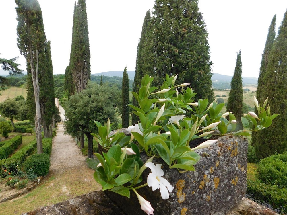 Macciangrosso