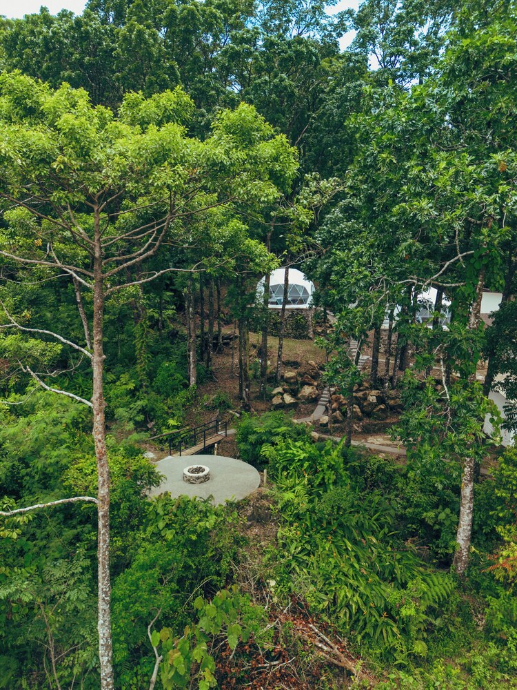 Matahom Forest Glamping Tent 2