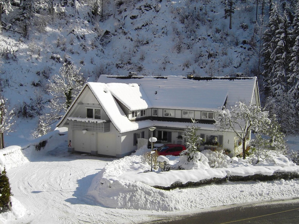 Comfy Apartment in Oppenau near Black Forest National Park en Oppenau