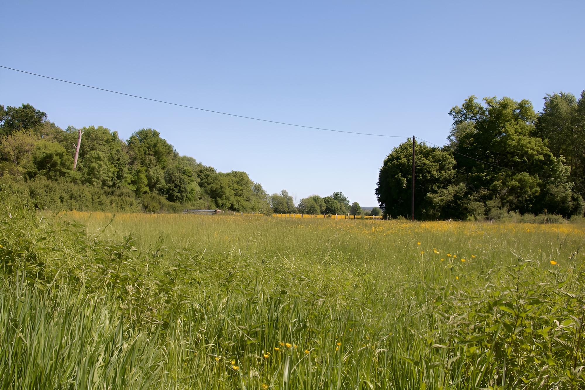 La Grande Vèvre
