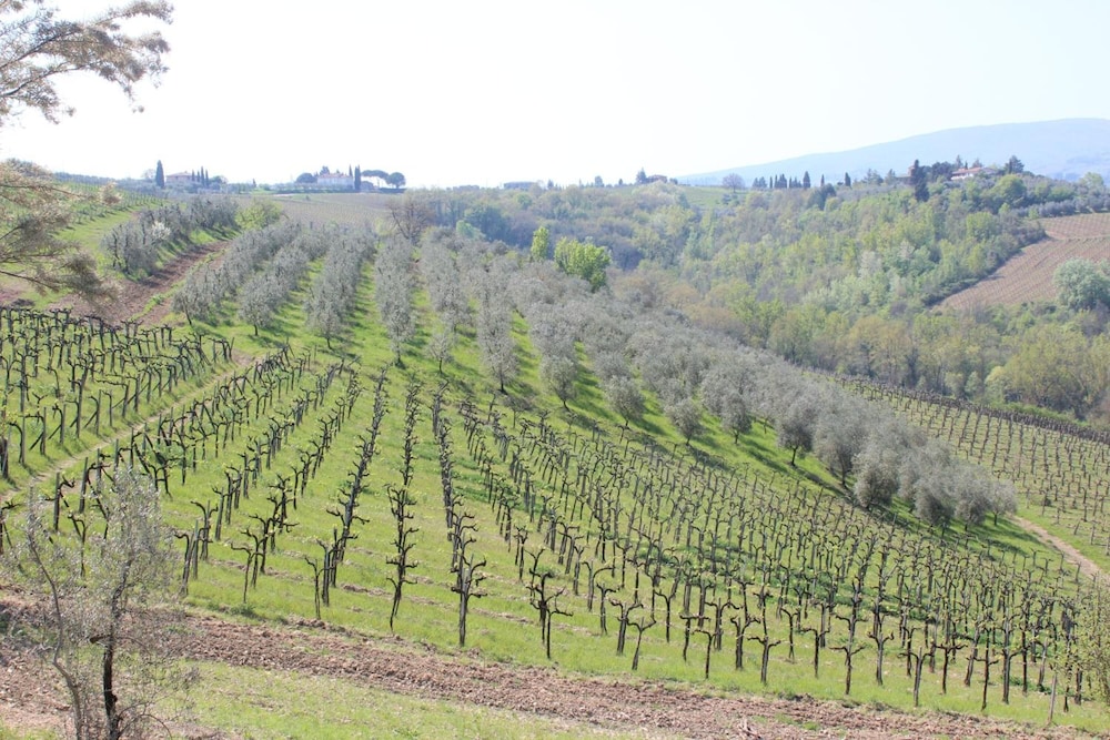 Bioagriturismo Podere Pretoia