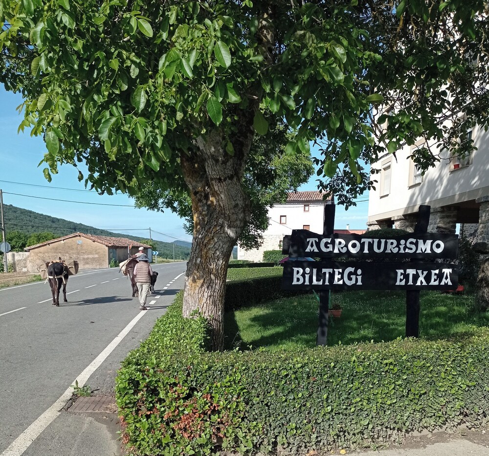 Biltegi Etxea