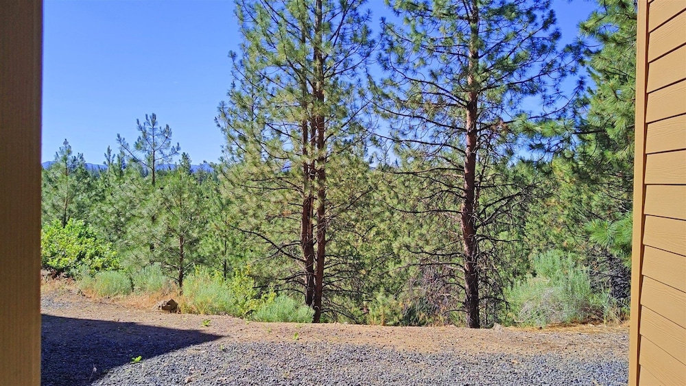 7th Mtn 611c 1 Bedroom Condo