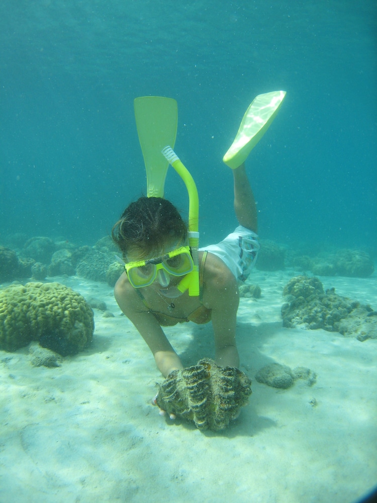 Palau Pacific Resort 41