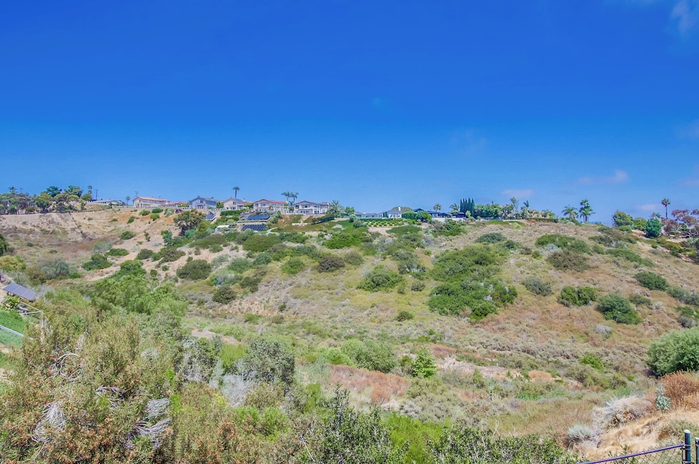 La Jolla Oasis