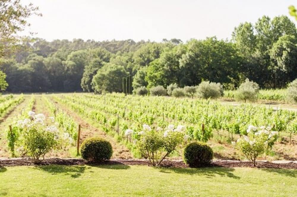 La Bastide de Fangouse view 3