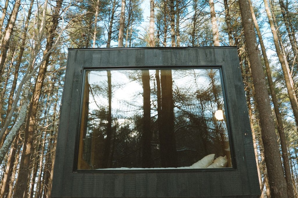 Postcard Cabins The Thumb, Outdoor Collection by Marriott Bonvoy