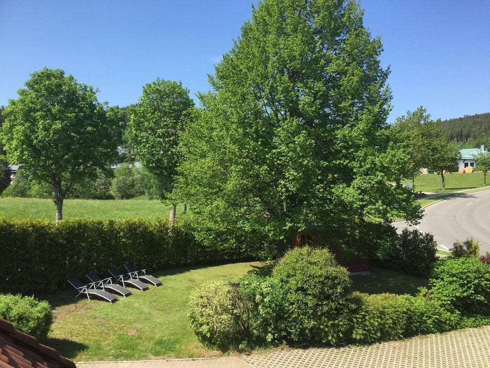Photo 43