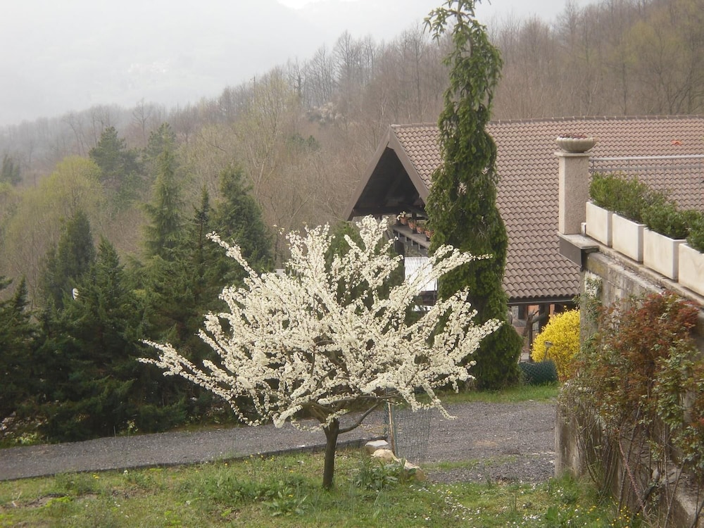 Photo 22