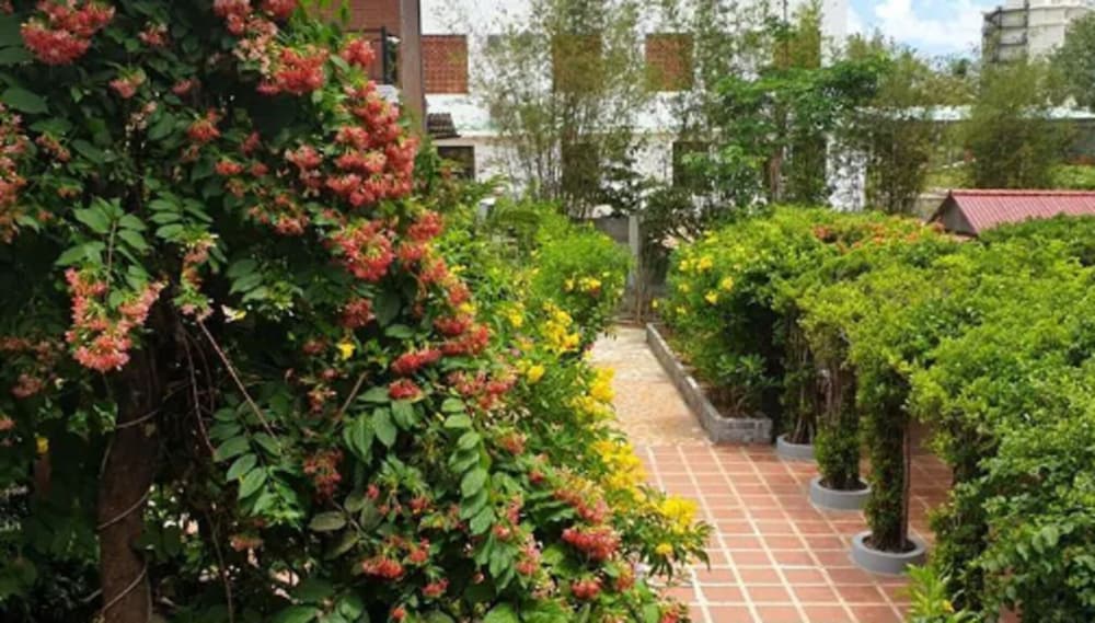 Photo 41