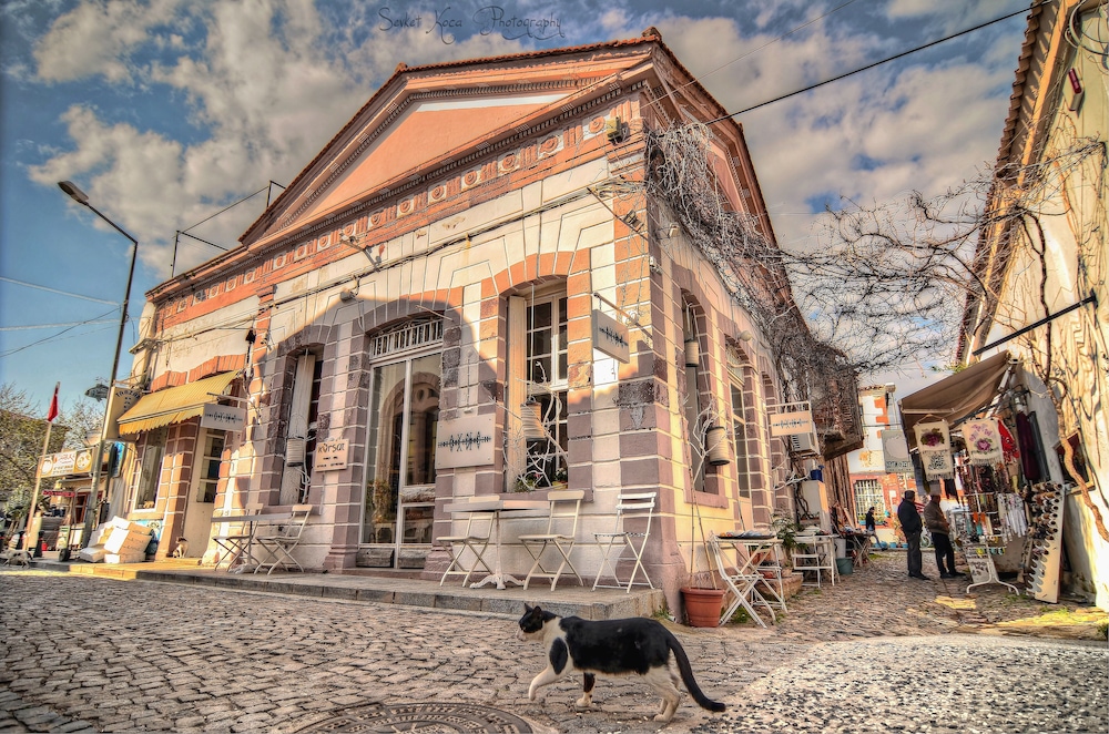 Macaron Konagi Ayvalik - Image 38