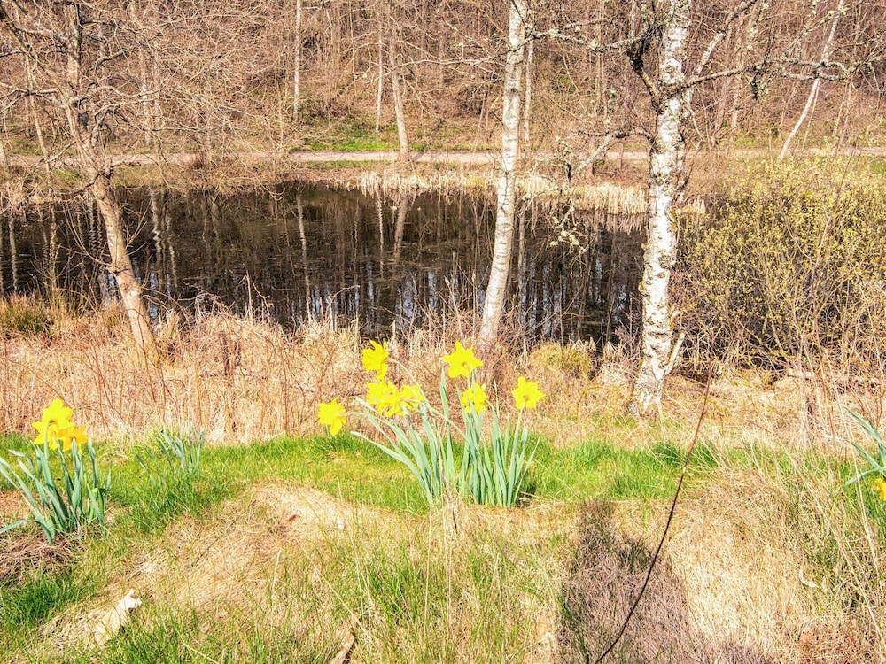 4 Star Holiday Home in Ebeltoft view 4