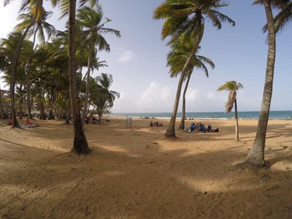 Oceansound Suites - Property Image 10