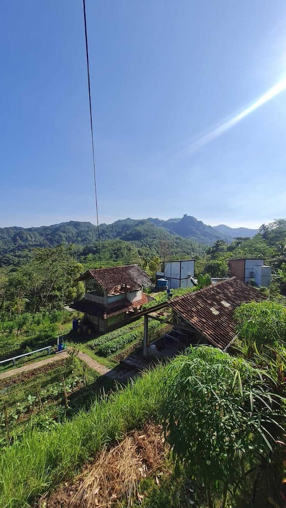 Menoreh Farm Stay Samigaluh Kulonprogo