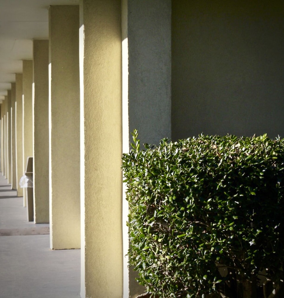 Photo 43