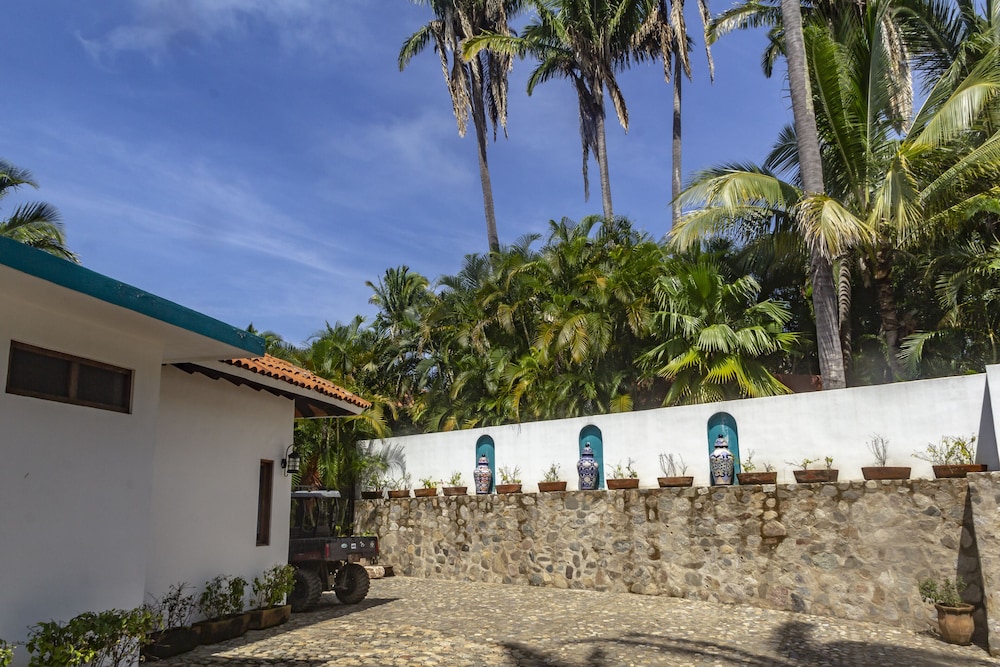 Special Place Where you Combine the Peace of the Jungle With the Ocean View