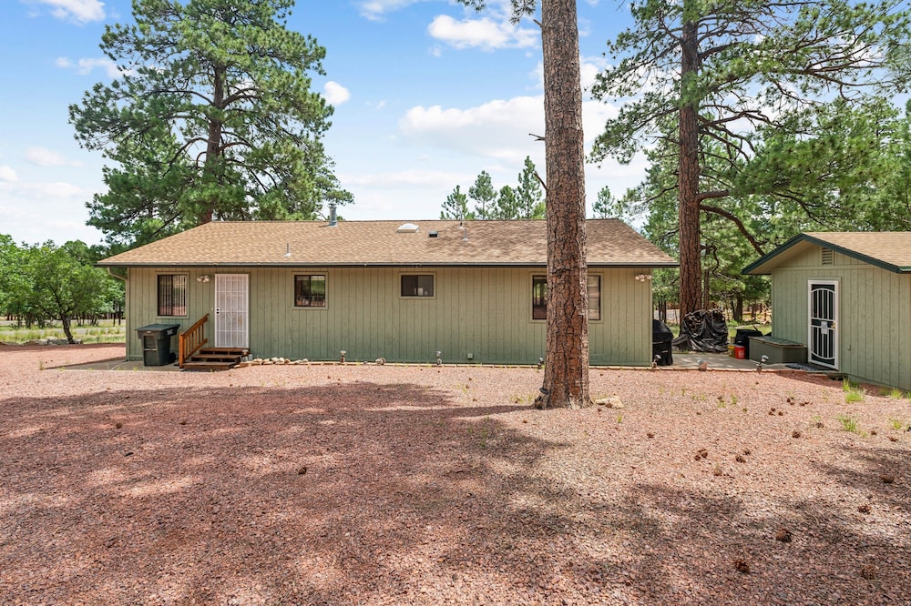 Secluded Mountain Cabin With Forest Views 3 Bedroom Cabin by RedAwning