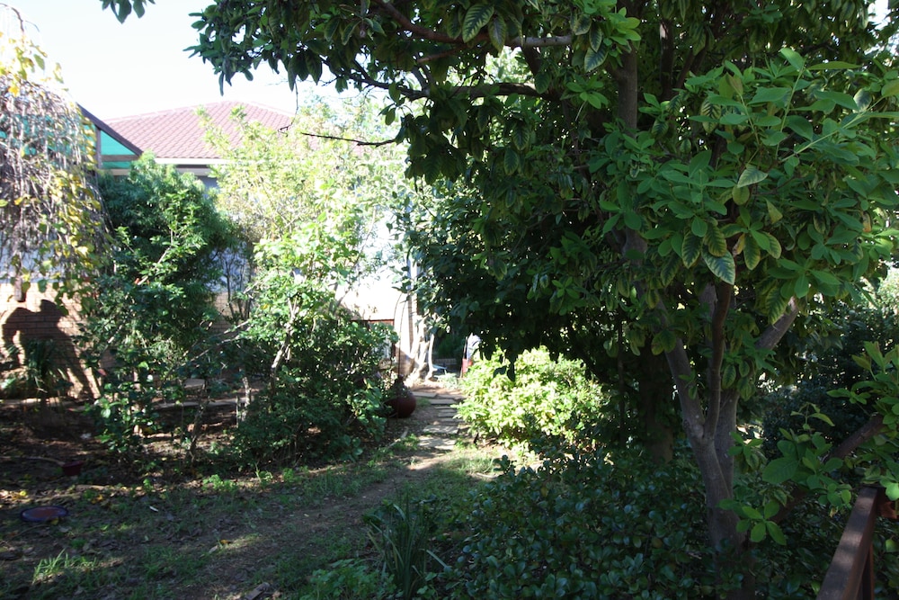 Photo 20