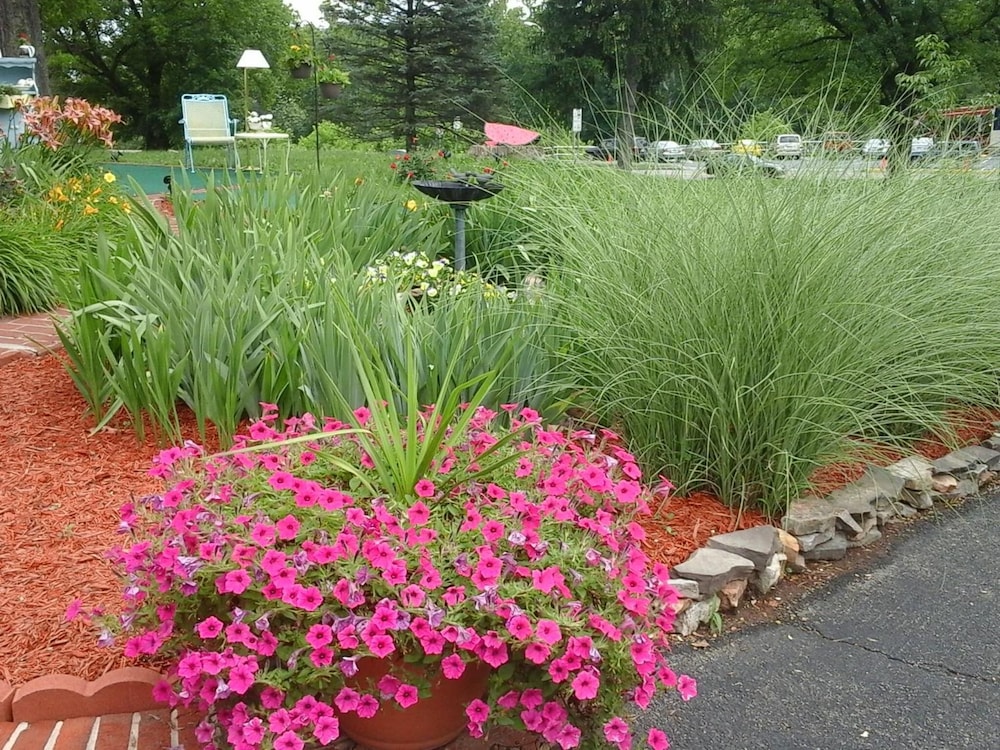 Photo 41