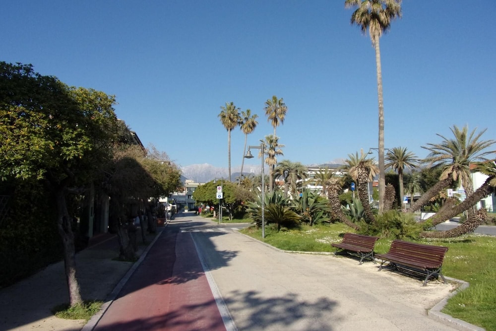 Photo 49