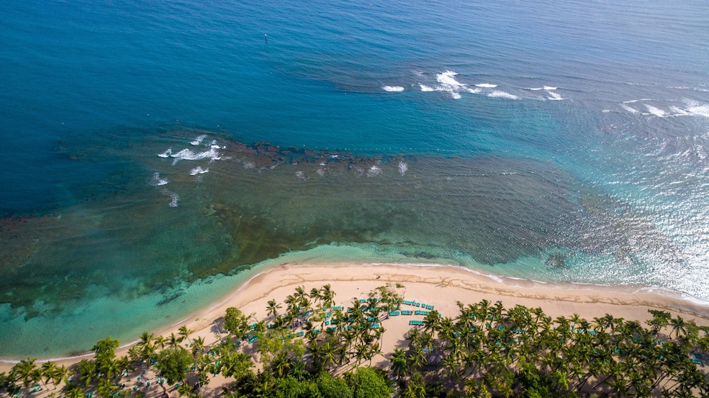 Playabachata - Property Image 106