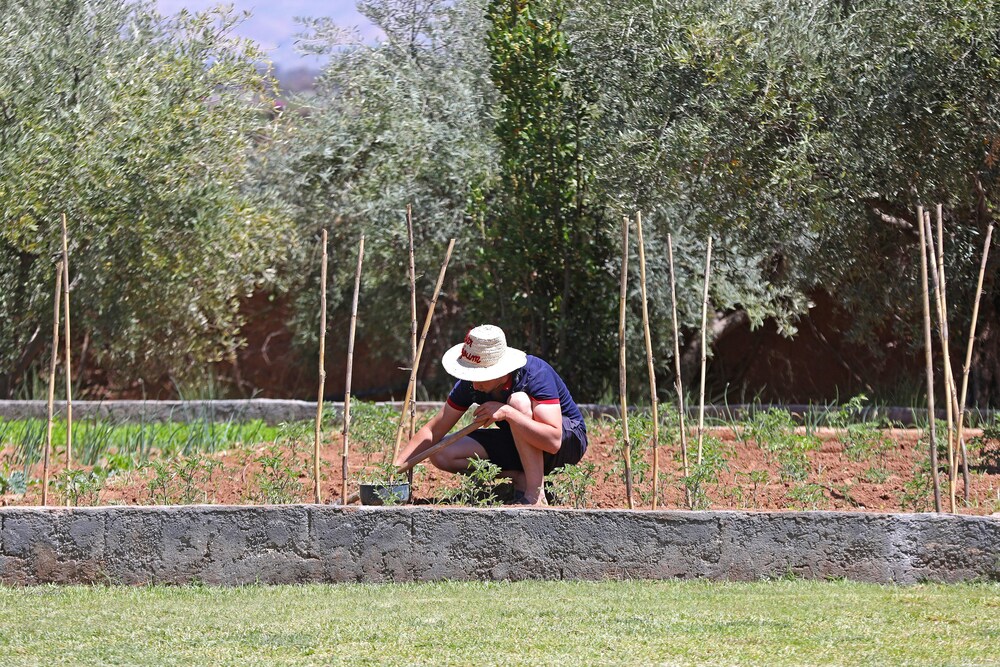 Photo 48