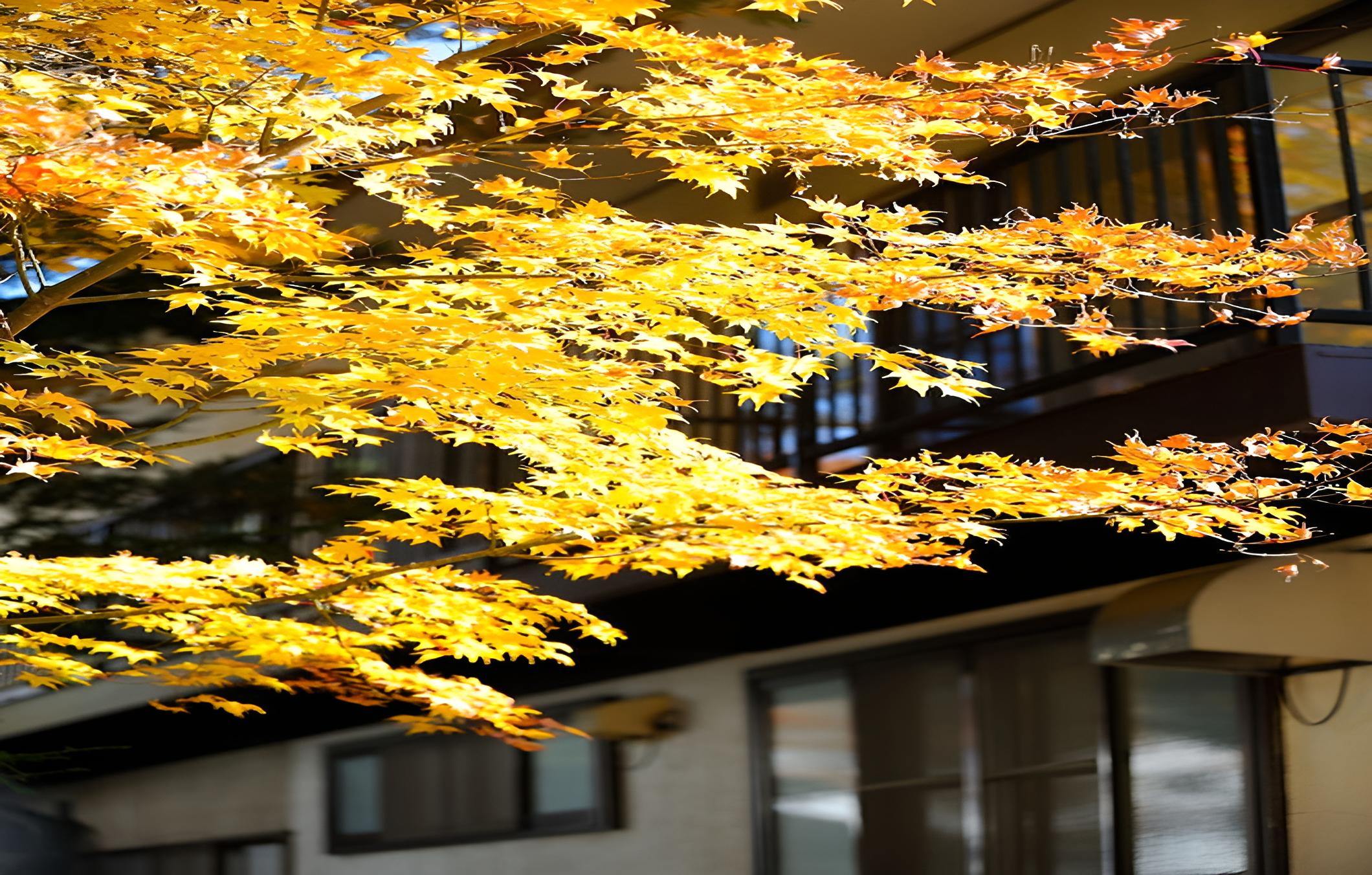 Ryokan Ikoisanso