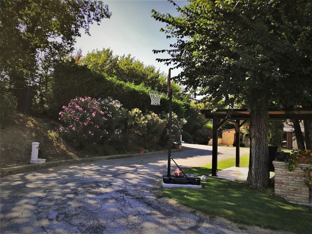 Photo 7