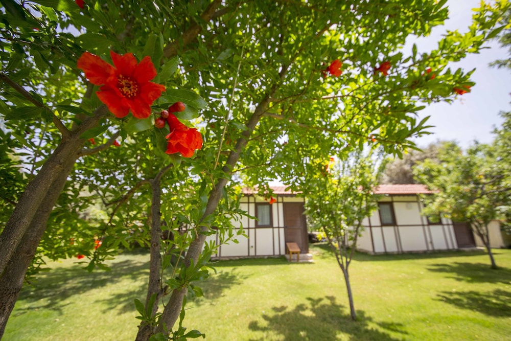 Bal Badem Bungalov