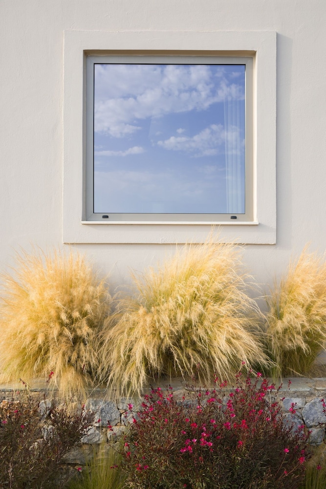 Villa Stella Suites photo 5