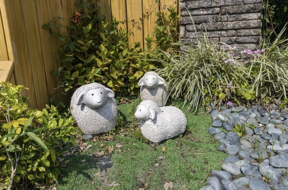 Photo 37