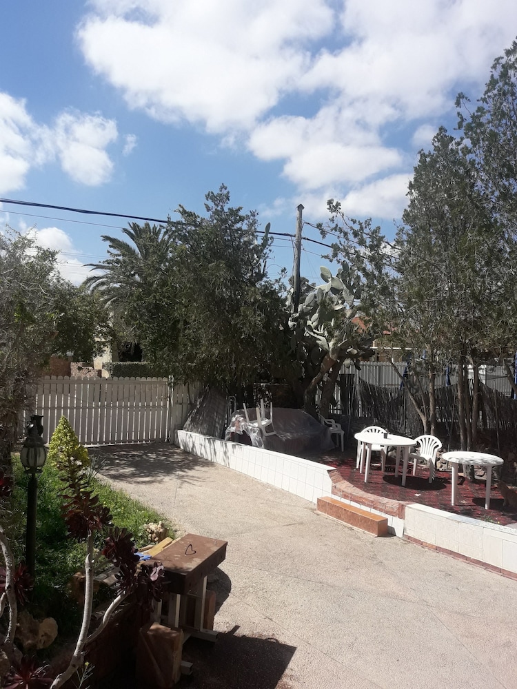Oasis Negev