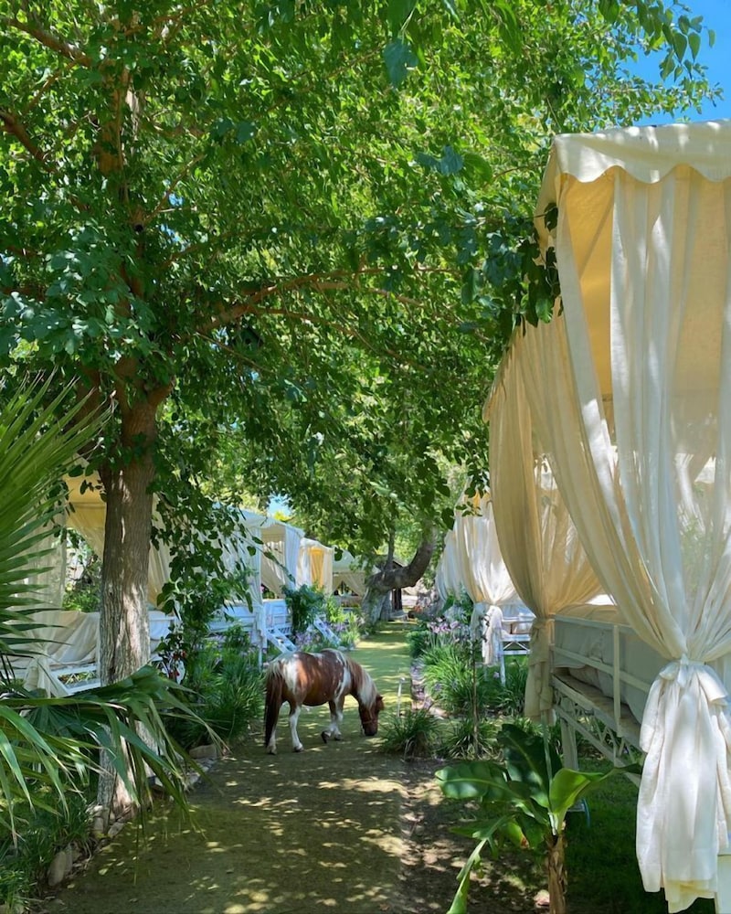 Selale Park Gizli Bahce view 5