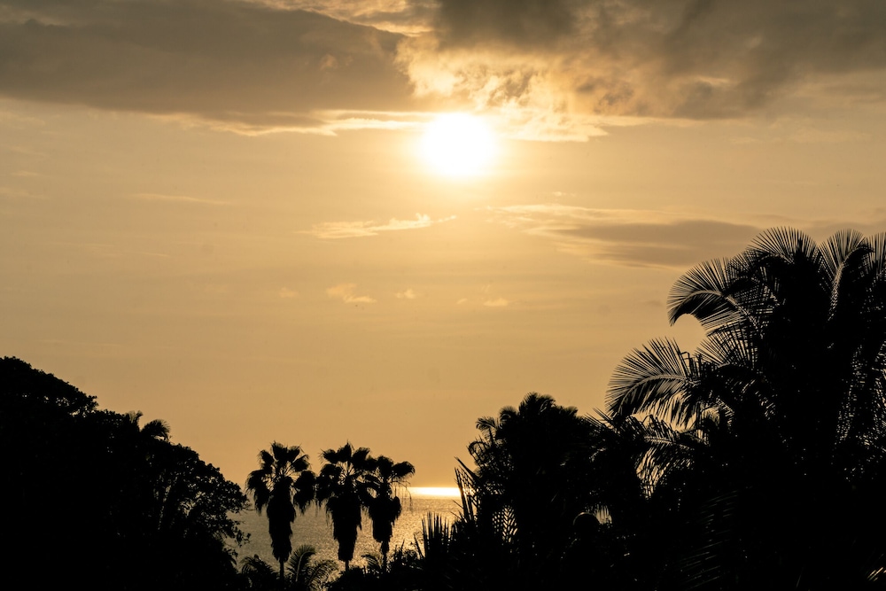 Special Place Where you Combine the Peace of the Jungle With the Ocean View