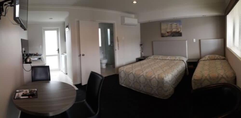 Auckland Phoenix Palm - Image 4