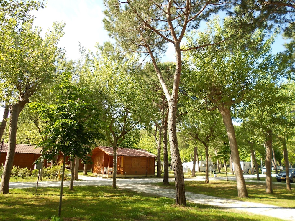 Club Del Sole Viareggio Family Collection