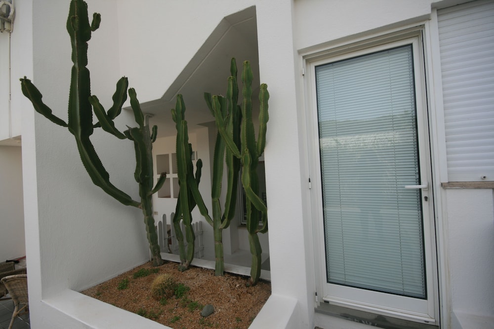Villa Acquamarina photo 2