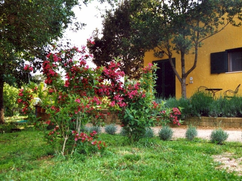 Photo 24