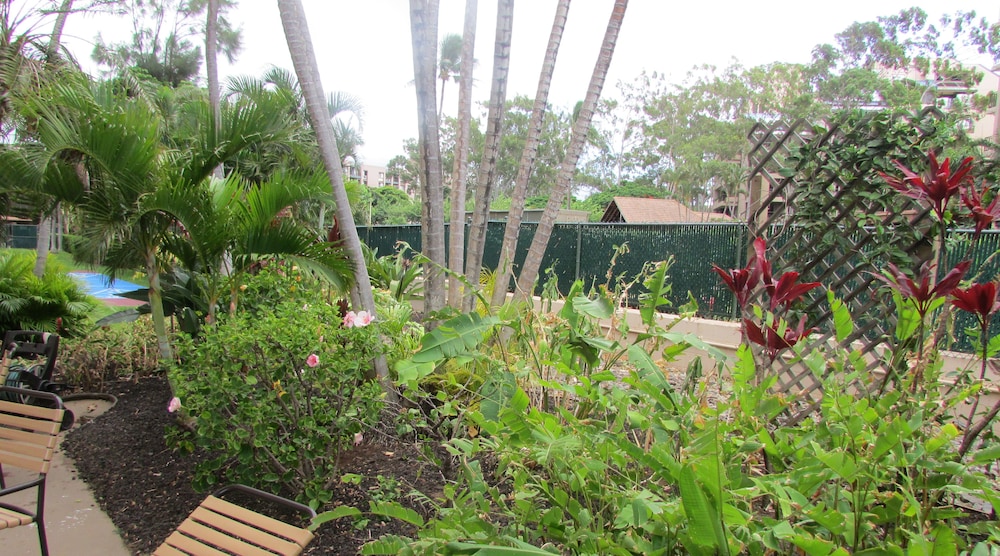 Royal Kahana Resort by rkmaui