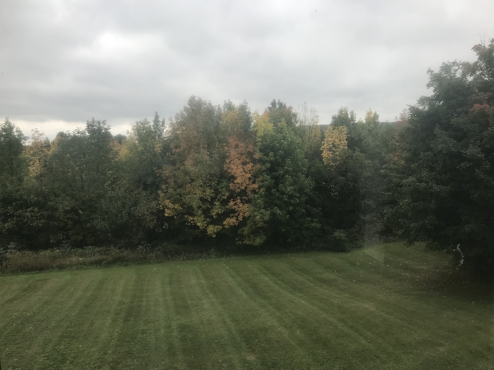 Photo 51