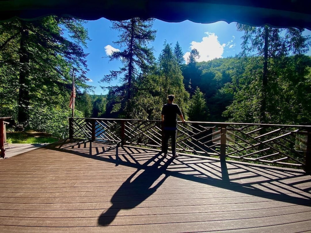 Welch Cabin - A License to Chill